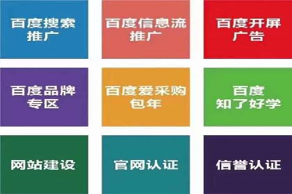SEM服务公司助力品牌崛起案例